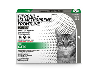 Frontline for Cats