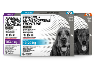 Frontline® Plus for Dogs